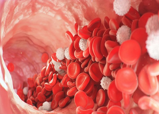 Hematoloji